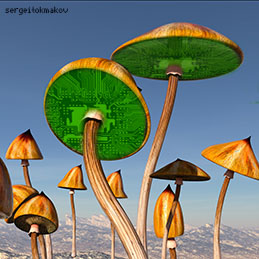 pcb material made with mushrooms